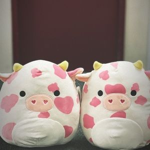 Meet your Posher, Angelica